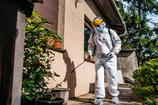 Best Spider Control Near Me  in Mulberry, FL