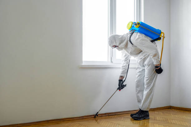 Best Best Pest Control Companies  in Mulberry, FL