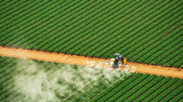 Best Mosquito Control Services  in Mulberry, FL