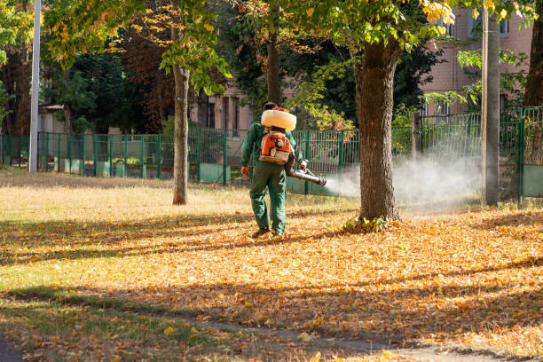 Best Local Pest Control Services  in Mulberry, FL