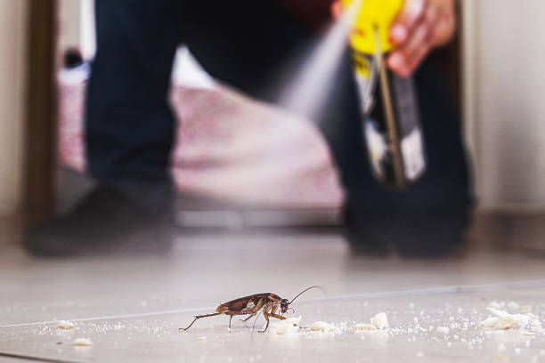 Best Pest Removal Services  in Mulberry, FL